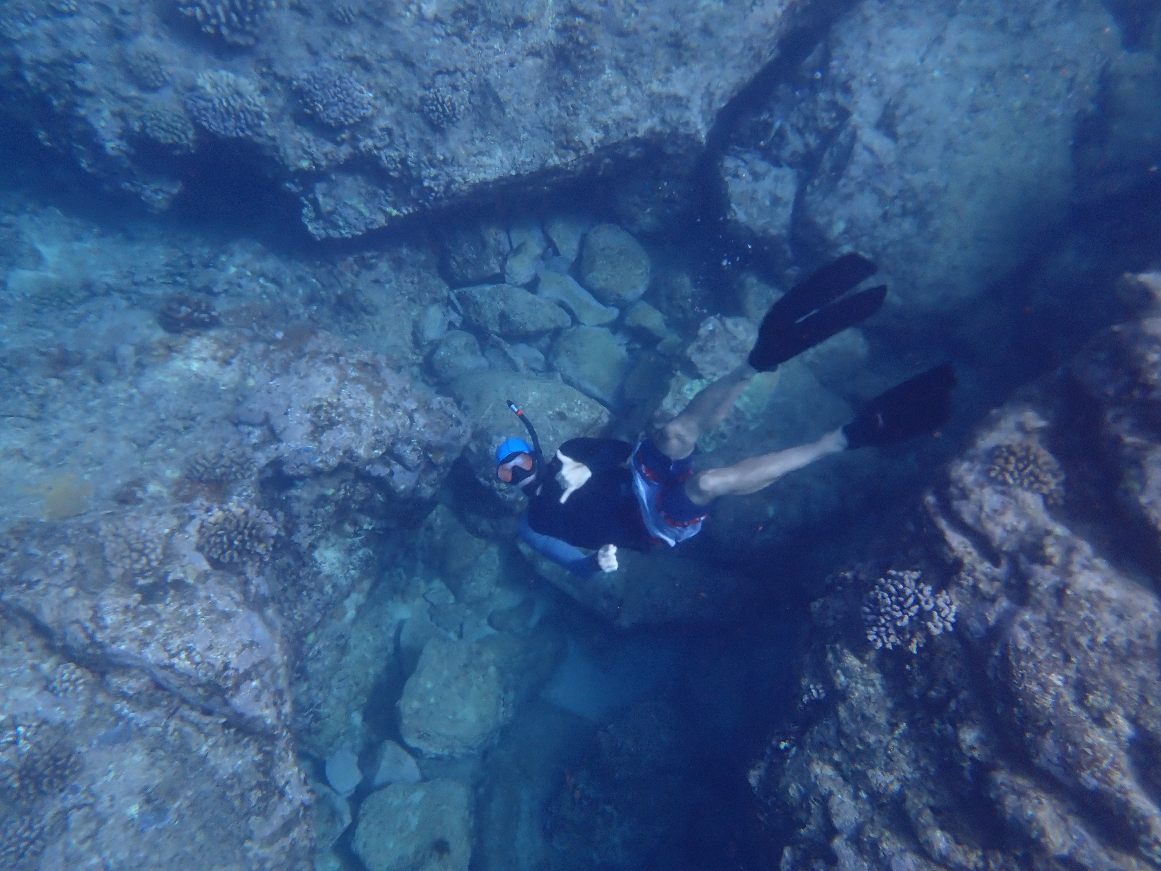 Michael Philips snorkeling