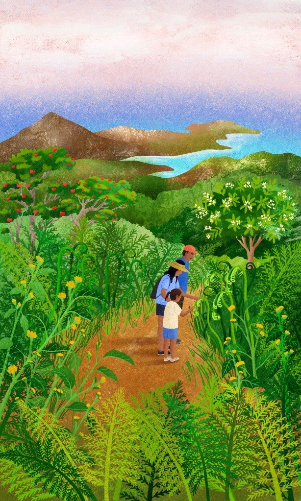 Hiking, illustration by Sunnu Rebecca Choi